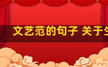 文艺范的句子 关于生活